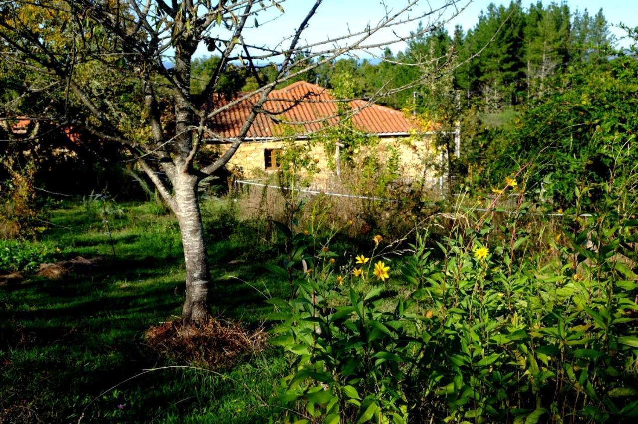 Hotel O Fogar Do Monte Sober Exteriér fotografie